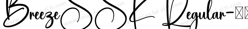 BreezeSSK Regular字体转换
